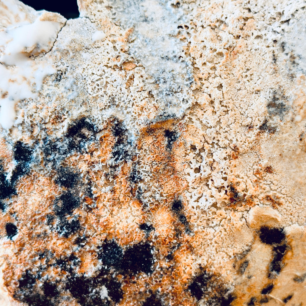 Sculptural Natural Vase