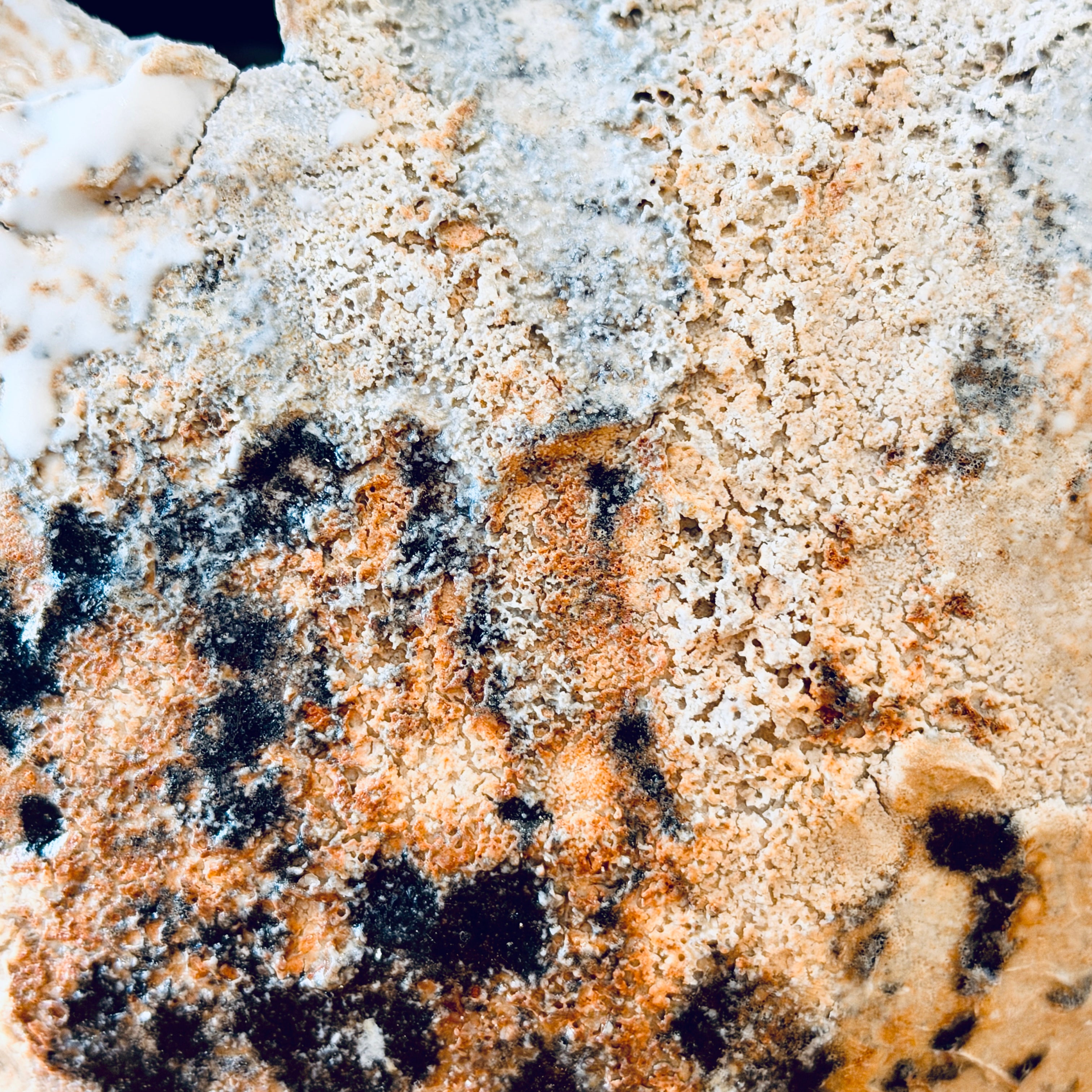 Sculptural Natural Vase