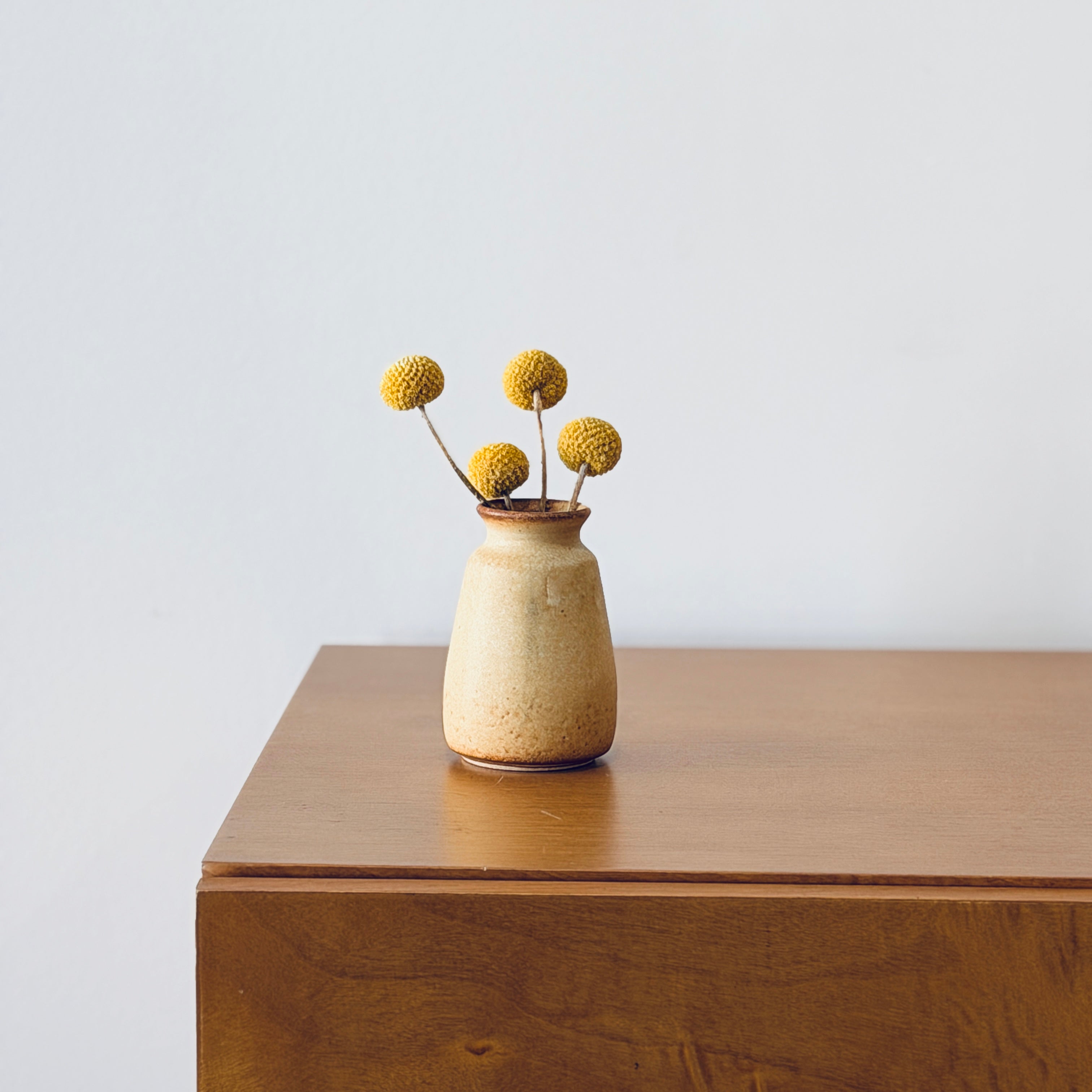 Bamboo Vases